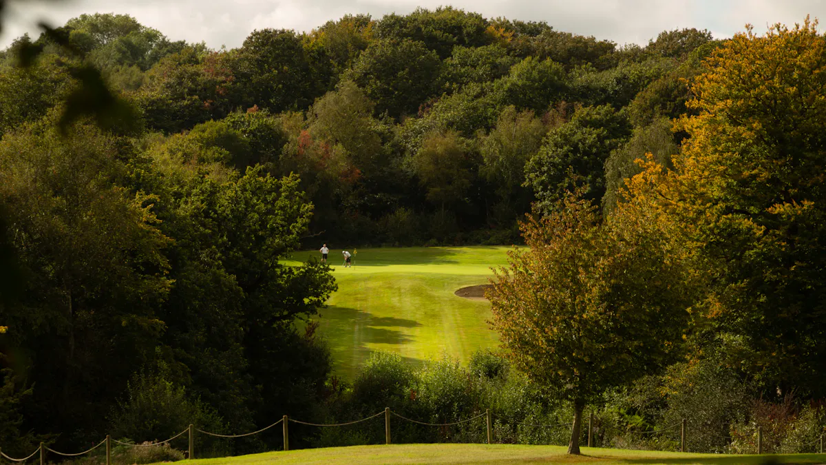 Dale Hill Hotel and Golf Club