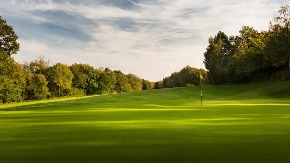 Dale Hill Hotel and Golf Club