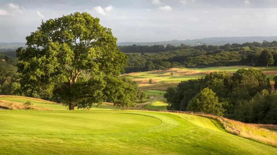 Dale Hill Hotel and Golf Club