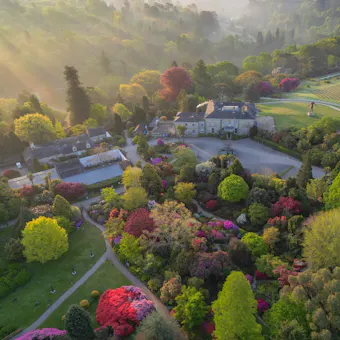 Leonardslee Lakes & Gardens
