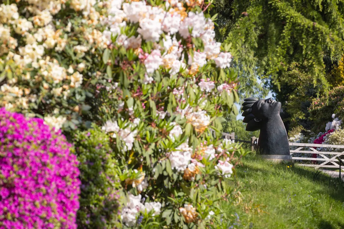 Leonardslee Lakes & Gardens