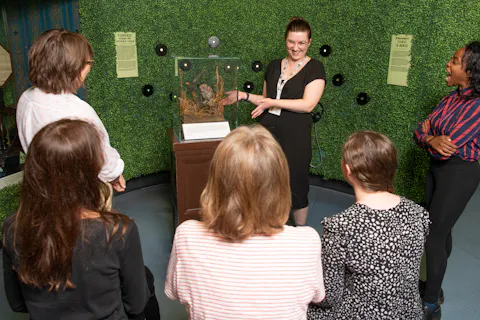 Florence Nightingale Museum