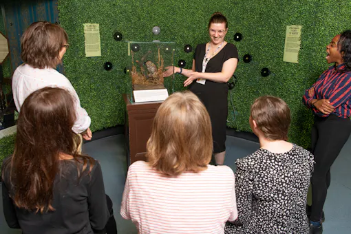 Florence Nightingale Museum