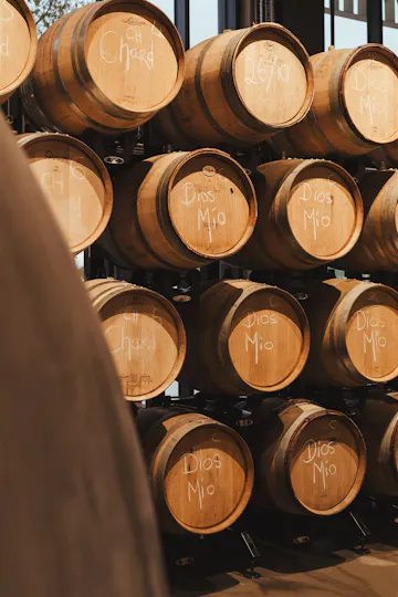 Vagabond Urban Winery