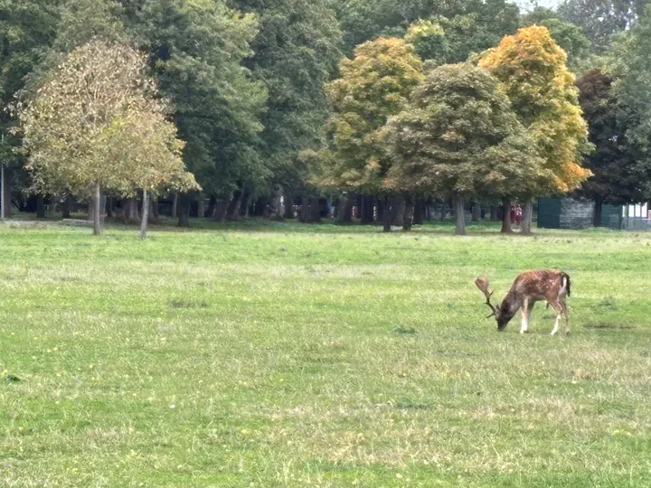 Gunpowder Mills