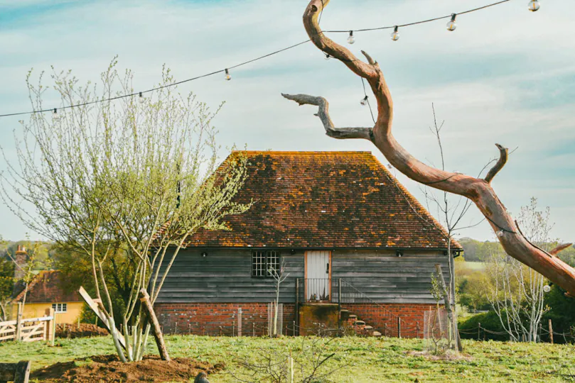 Knepp Wildling Kitchen
