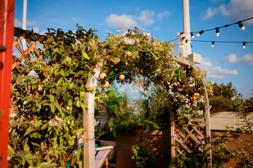 1864 Rooftop Bar and Kitchen