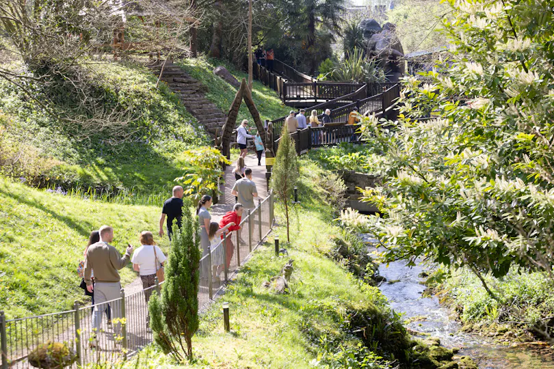 Wookey Hole