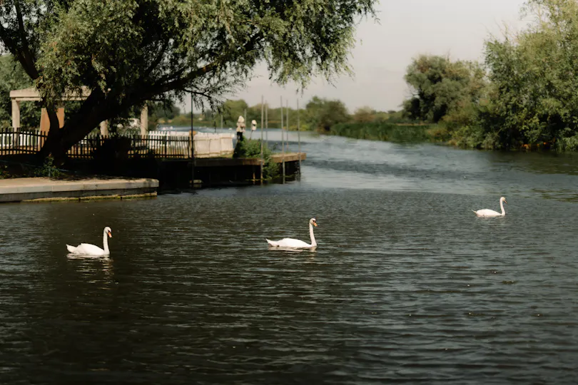 Cambridge Marina