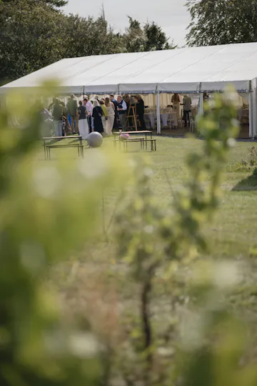 Hambledon Wine Estate