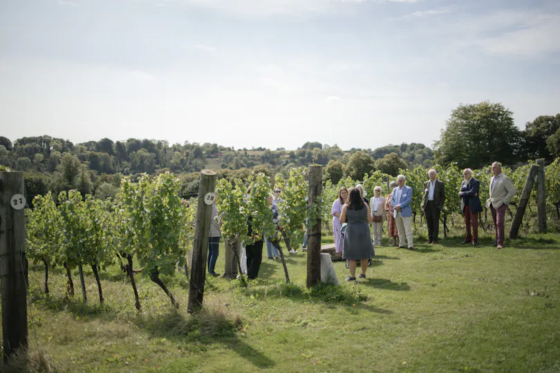 Hambledon Wine Estate