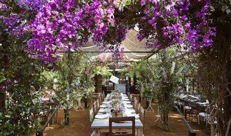 Petersham Nurseries