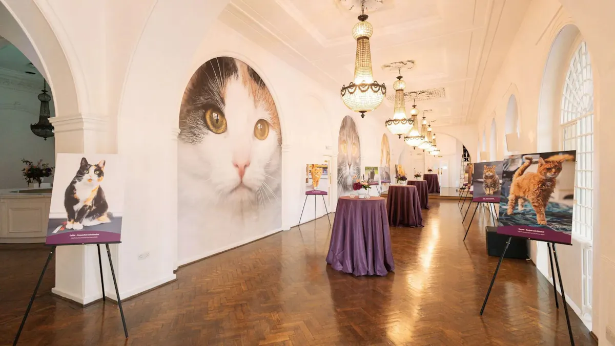 One Marylebone