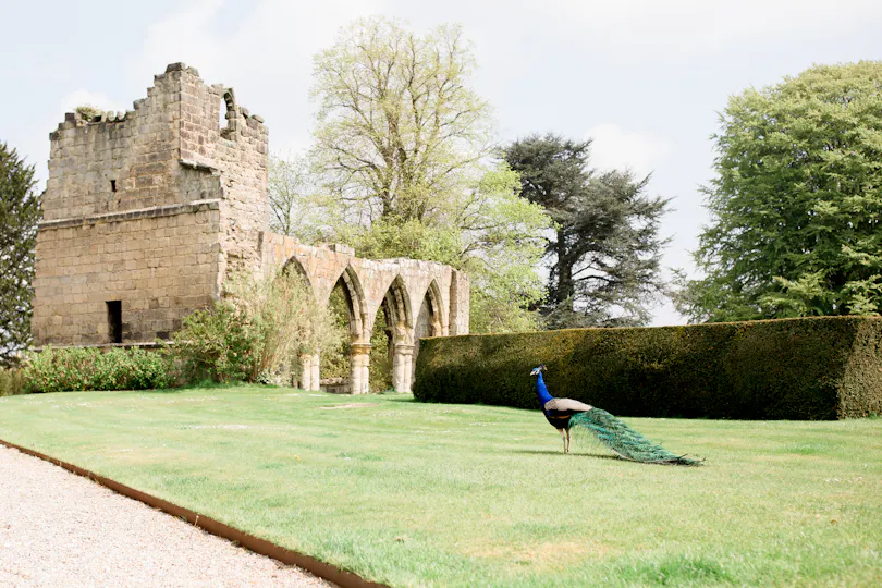 Birdsall House