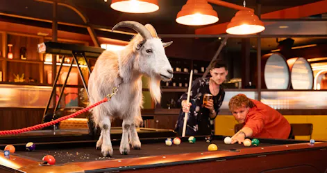 The Lucky Goat