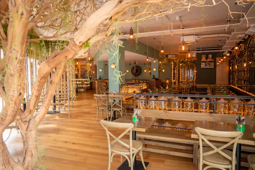 Mowgli Brighton