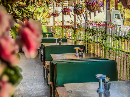 The Solo Kitchen & Bar