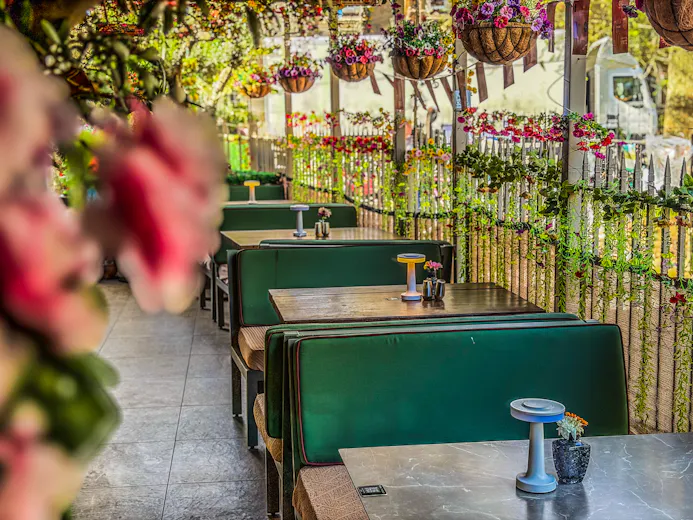 The Solo Kitchen & Bar