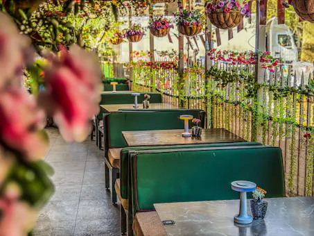The Solo Kitchen & Bar