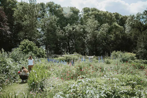 The Joy of a Summer Garden