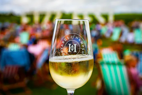 Vineyards of Hampshire Fizz Fest – 28 June 