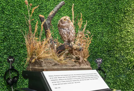 Museum Highlights Tour 