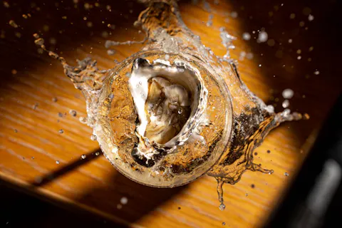 £1 Oysters and Happy Hour 