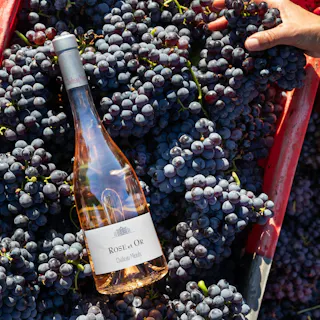 Chateau Minuty Wine Dinner