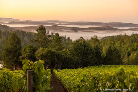 L'Empreinte de Vigneron - The Winemaker's Imprint