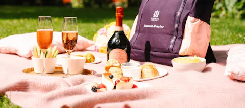  Laurent Perrier Picnic Backpack for 2