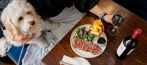 Catena and Canines - A dog-friendly wine dinner at The Cavendish