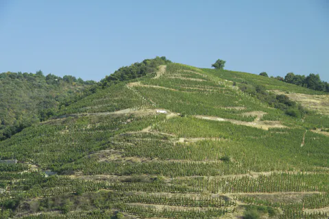 FERRATON PÈRE & FILS WINE DINNER