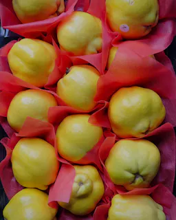 Digging Deeper: The Secret to Growing Organic Fruit