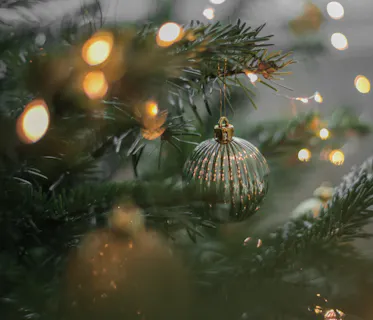 Grand Christmas shared party nights