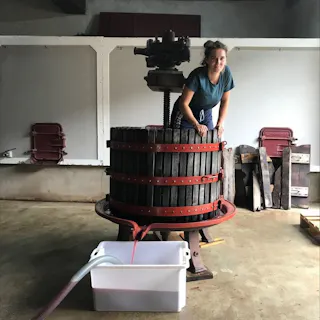 Beaujolais Nouveau with Winemaker Cosima Bassouls