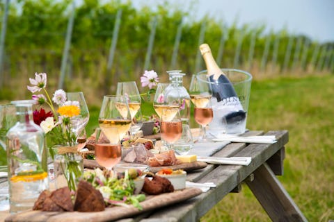 Harvest Tasting Through The Vines 