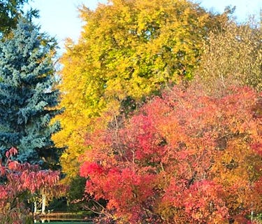 Autumn Garden Walks