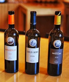 Bodegas Emilio Moro wine tasting