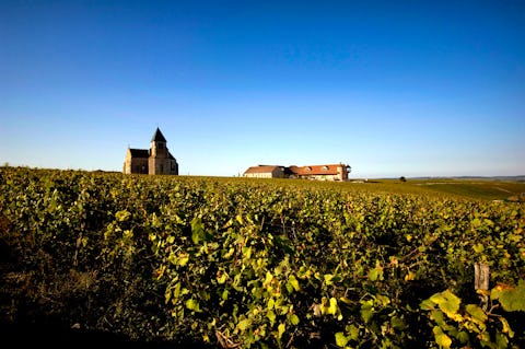 JEAN-MARC BROCARD WINE DINNER