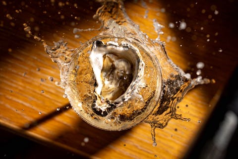 £1 Oyster Happy Hour & 2 for 1 Cocktails!