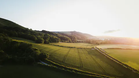 The best restaurants in West Sussex