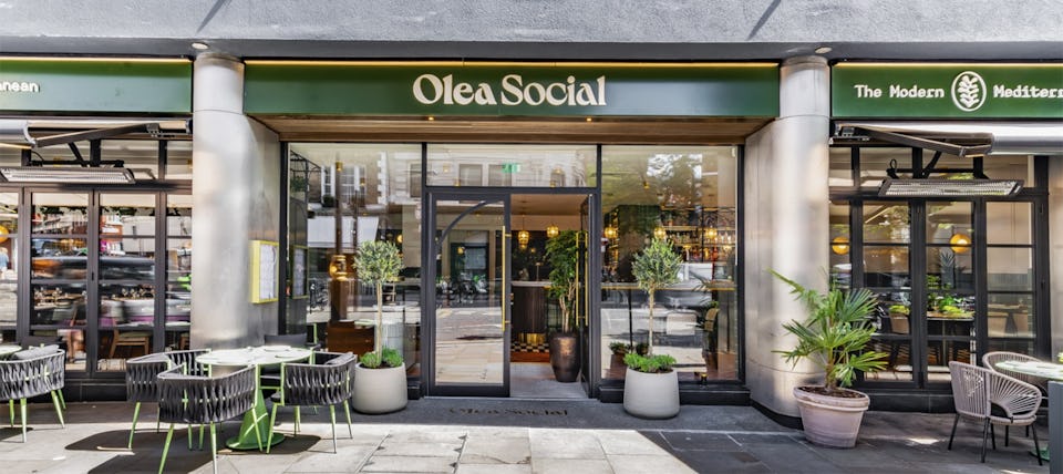 Olea Social