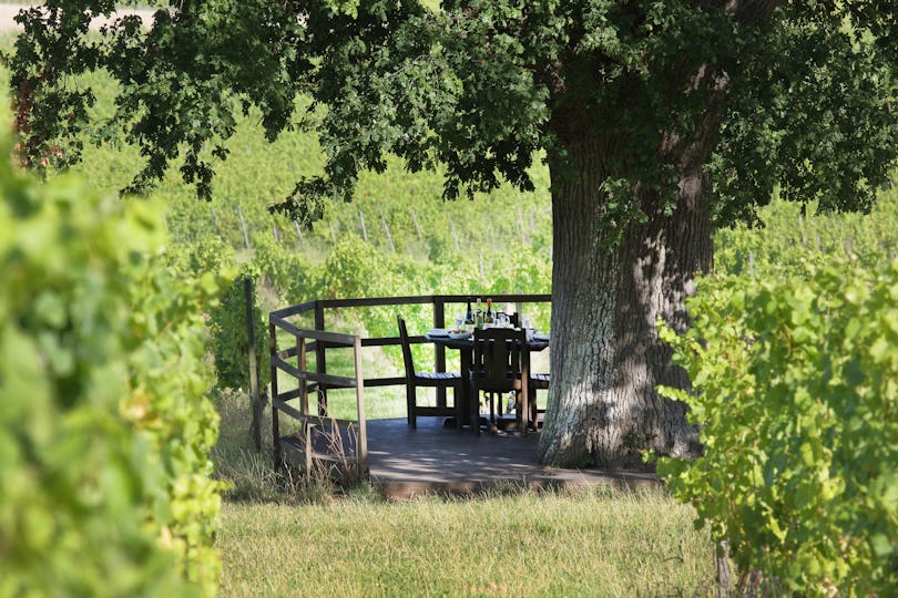 Denbies Wine Estate