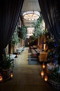 Jamie Oliver Catherine St