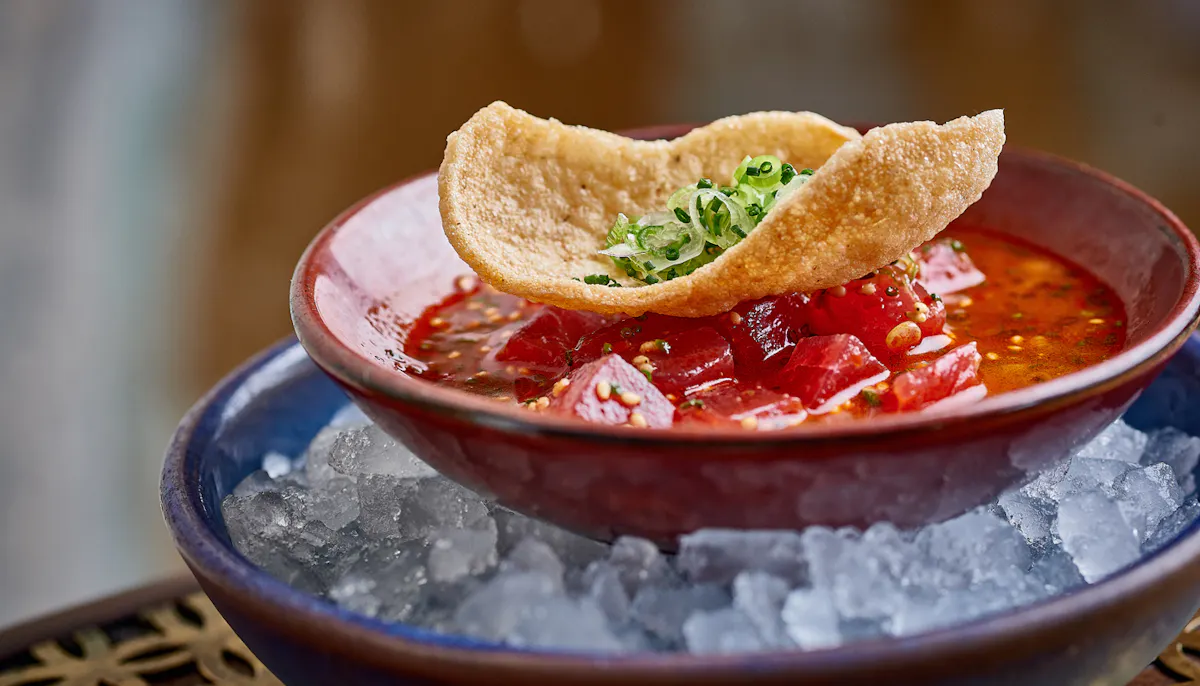 Coya Mayfair