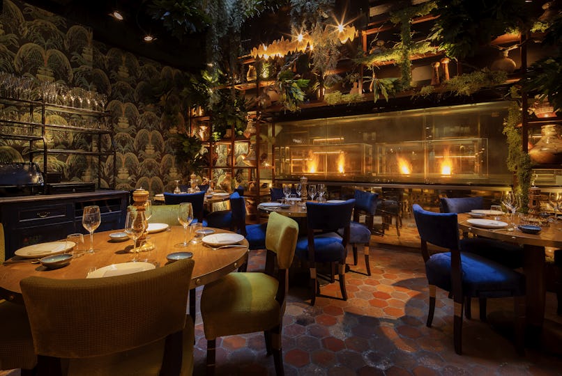 Coya Mayfair