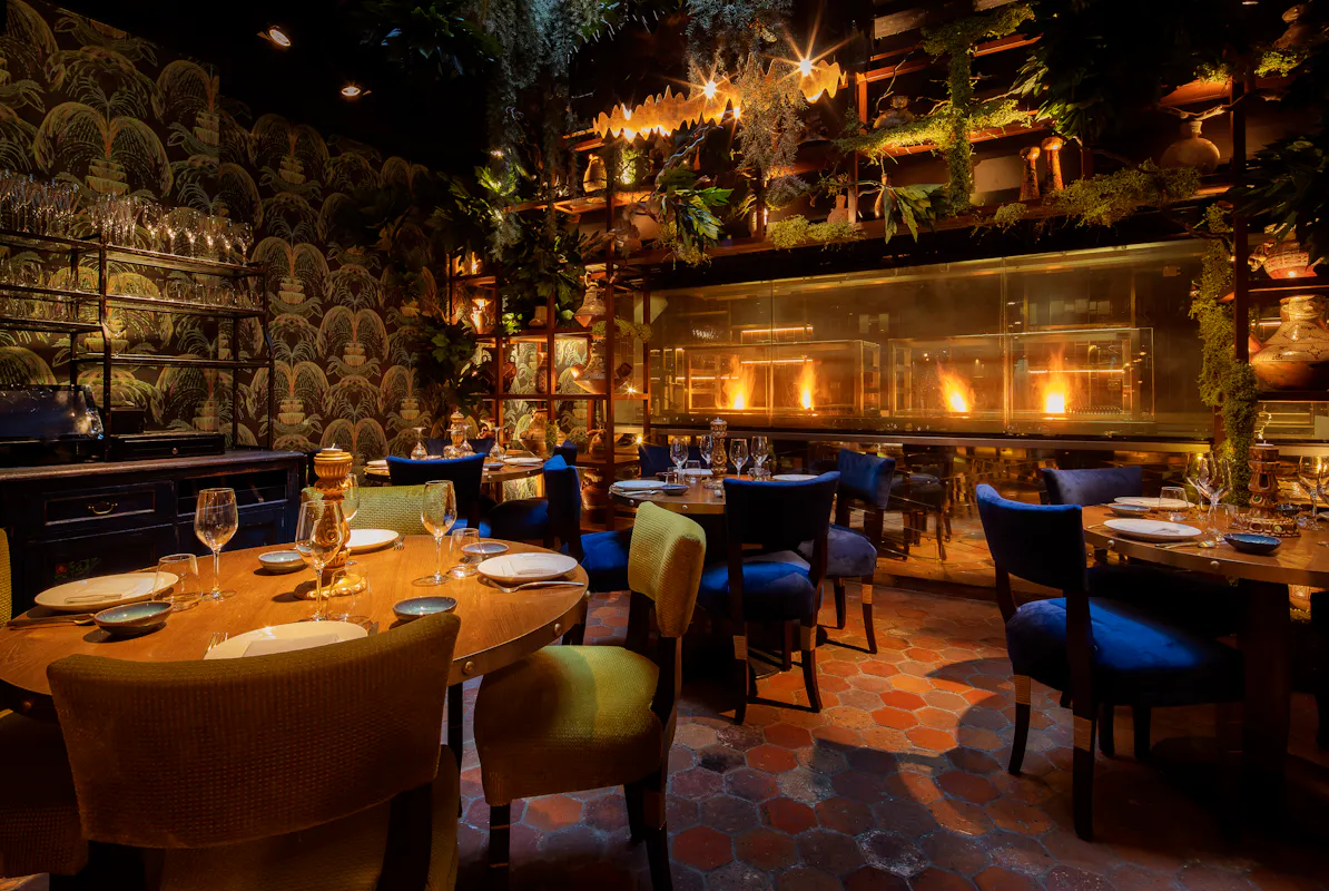 Coya Mayfair