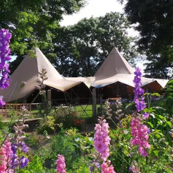 Tipi Hire 