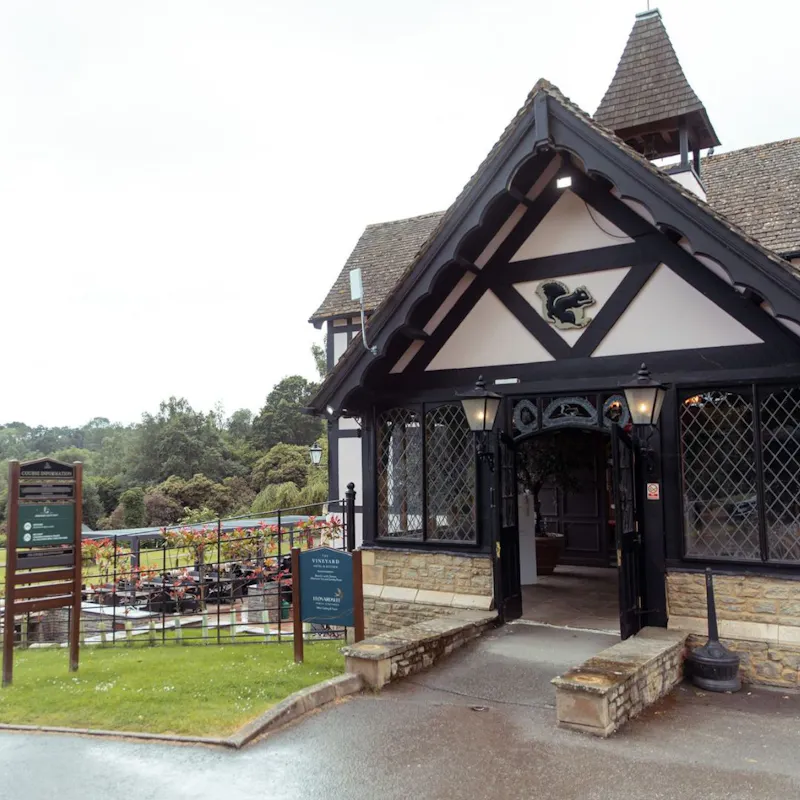 The Vineyard Kitchen Restaurant
