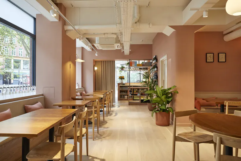 Honey & Co Daily